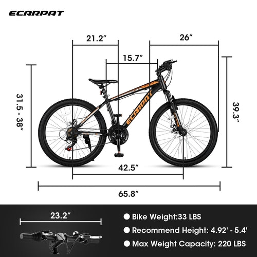 City-Cruizer – 24 colių Carpat™ ALIUMININIS kalnų dviratis (21 pavaros,