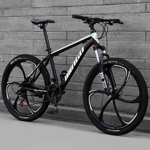 City-Cruizer – 24 colių Carpat™ ALIUMININIS kalnų dviratis (21 pavaros,