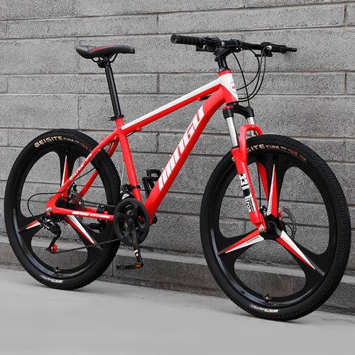 City-Cruizer – 24 colių Carpat™ ALIUMININIS kalnų dviratis (21 pavaros,
