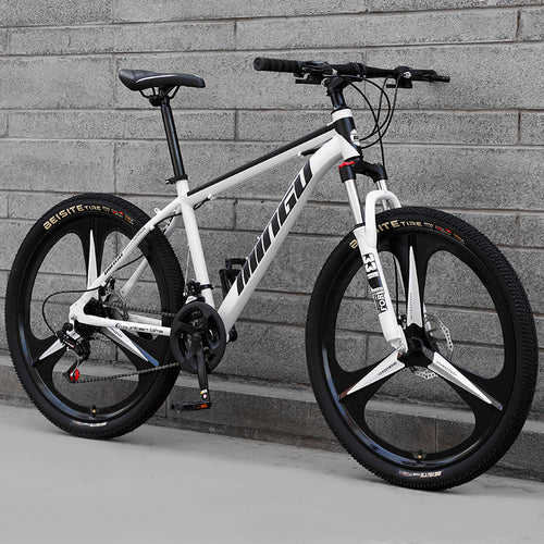 City-Cruizer – 24 colių Carpat™ ALIUMININIS kalnų dviratis (21 pavaros,