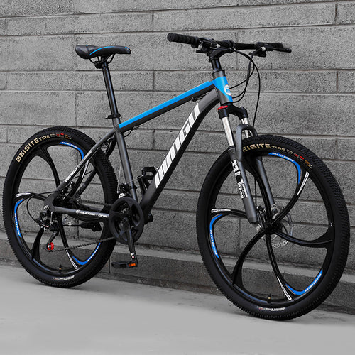 City-Cruizer – 24 colių Carpat™ ALIUMININIS kalnų dviratis (21 pavaros,