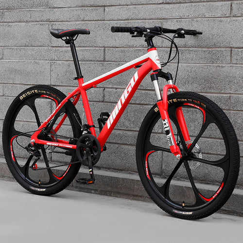 City-Cruizer – 24 colių Carpat™ ALIUMININIS kalnų dviratis (21 pavaros,