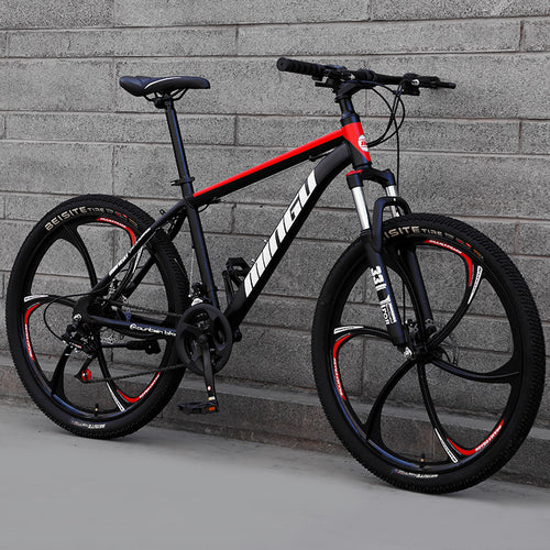 City-Cruizer – 24 colių Carpat™ ALIUMININIS kalnų dviratis (21 pavaros,