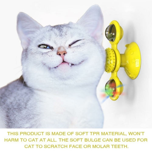 „Cats Whirling“ LED rutuliai
